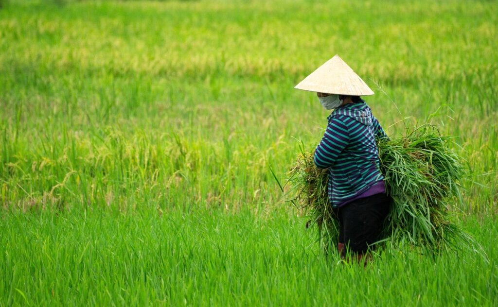 Petani Indonesia